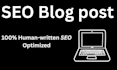 write SEO blog posts and optimize articles