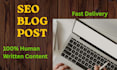 write SEO blog posts and optimize articles
