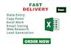 do data entry,web research,lead generation and copy paste