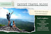 write engaging travel and lifestyle articles for you