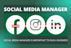 be your professional  SMM manager