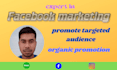 do your facebook marketing in targeted audience USA