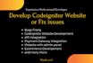 develop codeigniter website professional web developer