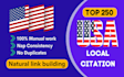 do high quality 250 top USA local citations and directories
