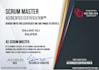 manage your agile projects as a certified scrum master