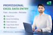 do microsoft excel data entry, google sheets, data cleaning