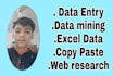 do data entry copy paste