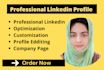 create and fully optimize a professional linkedin profile