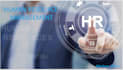 do human resource management, research, and projects
