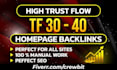 make high trust flow tf 30 plus homepage seo backlinks