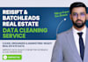 clean your data in reisift and batchleads