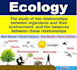 offer quality ecology task