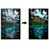 make illustration  nature, landscape etc from your image