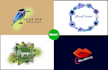 create a botanical feminine boho logo design