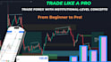 teach you forex trading strategy with live smc mentorship and price action