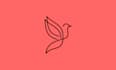 design simple animal one line art logo