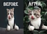 professionally and quickly remove background from picture