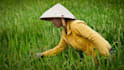 provide agriculture and food leads
