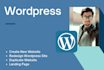 redesign, revamp, customize wordpress website, blog
