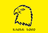 design attractive and creative mascot eagle logo designs