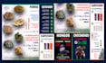 create poster, flyer or banner design for you