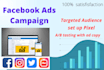 be a laser target audience facebook ads campaign with setup pixel