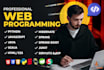 do professional web programming