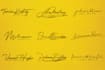 design luxury handwritten, scripted signature logo