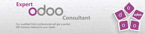 do odoo development and odoo customization