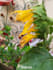 edit your photos in adobe lightroom