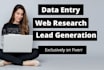 do data entry, web research