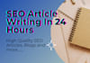 do SEO article writing in 24 hours
