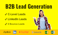 provide b2b lead generation and prospect list building