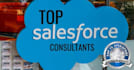 salesforce admin and consultant