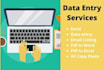 do data entry , copy paste job