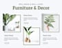 create a websites and landing pages for your services and products