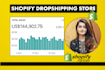 create profitable shopify store or shopify website