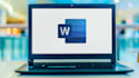 stunning data entry for your business