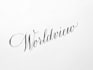 write any word in copperplate calligraphy with a video
