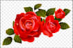 remove your background image