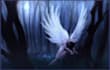 give a psychic reading