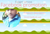 do facebook promotion in USA