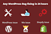 fix wordpress errors, bugs, issues, and problems  in 1 hour