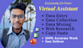 provide fast and reliable data entry services