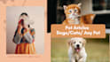 write SEO pet articles for your pet blog