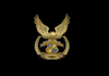 design outstanding security logo with express delivery