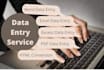 do data entry, web research task and be  virtual assistant