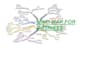 do business plan with mind map