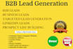 do lead generation and targeted b2b lead generation