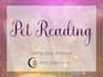 do tarot pet reading